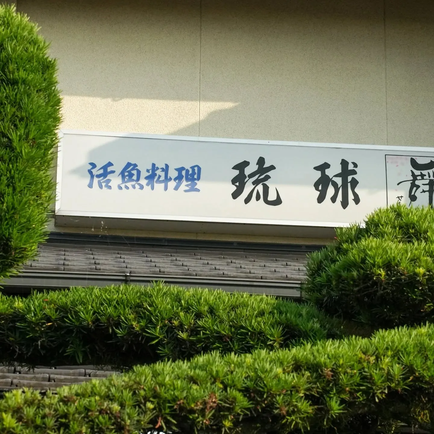 こんにちは！🐟 当店では今週も休まず営業しておりますので、美...