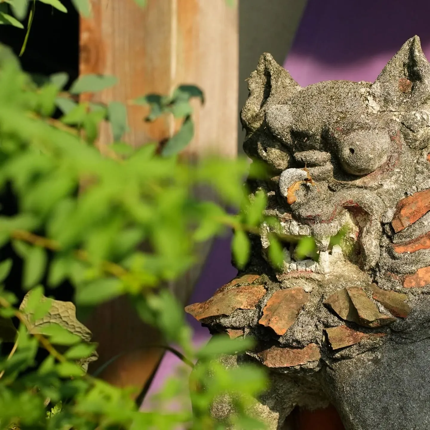 🌟✨光の森の中で、特別な時間をあなたと大切な方と共に過ごしま...