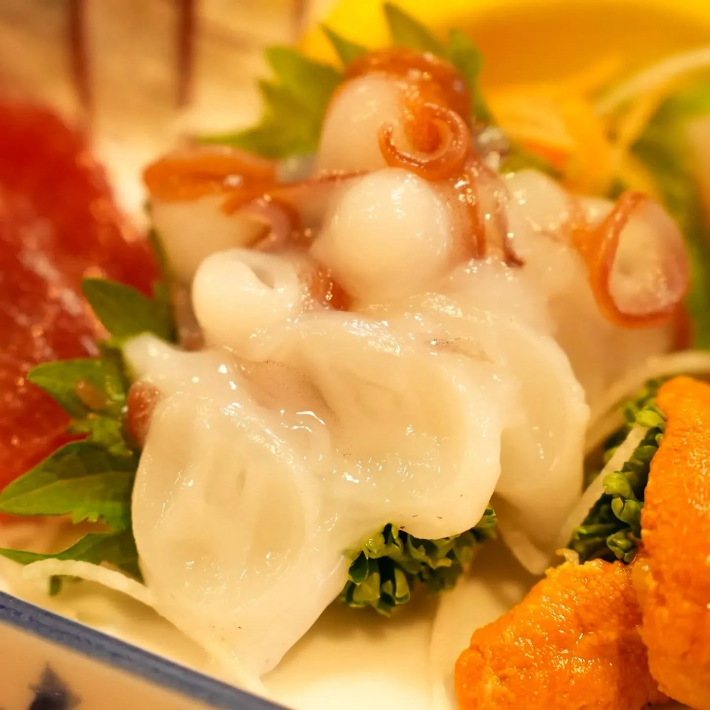 🌊🐟 日曜日も営業中の海鮮居酒屋です!新鮮な天然の刺身はいか...