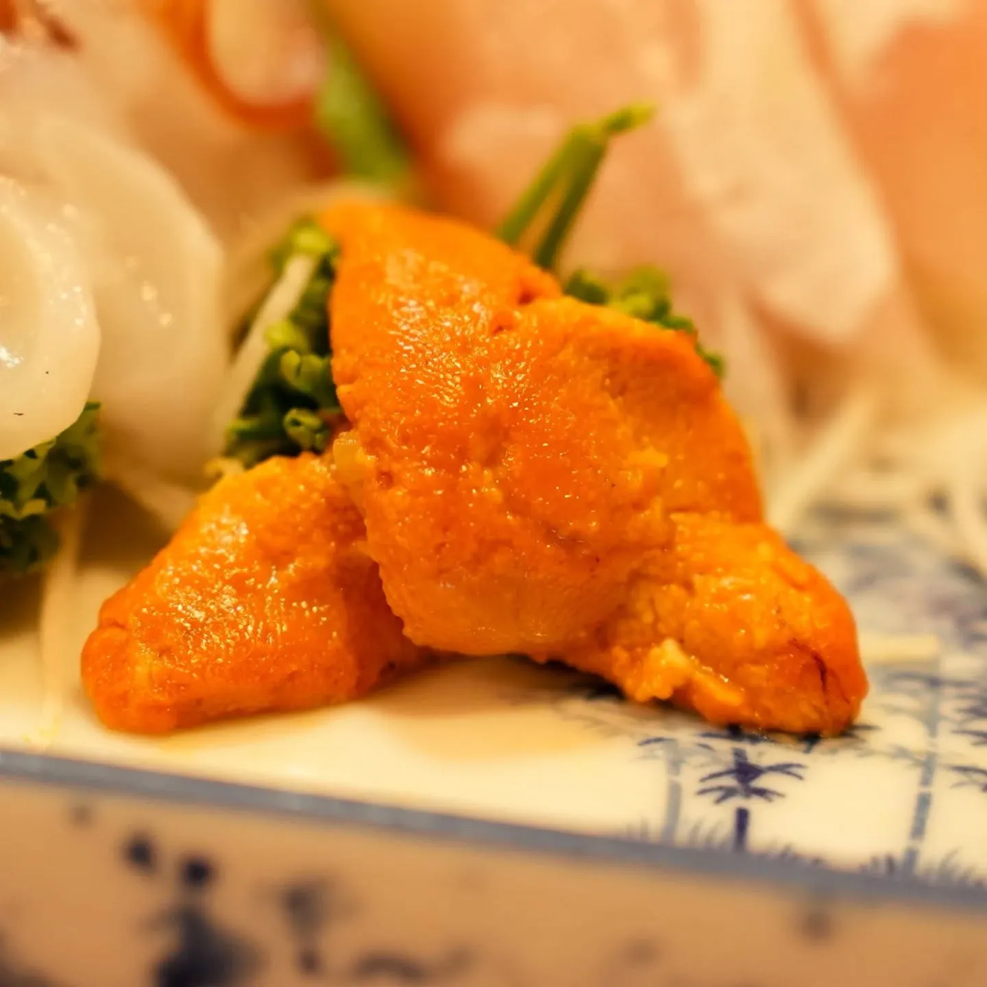 こんにちは皆さん！ 🌊新鮮な魚介類を満喫できる光の森菊陽にあ...